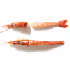 Aka Ebi Red Prawn “L1” (ARGENTINA)